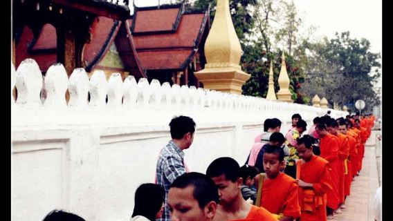 Laos Morning Alms Giving Experience & Kuang Si Waterfall Tour (Hotel Pickup)