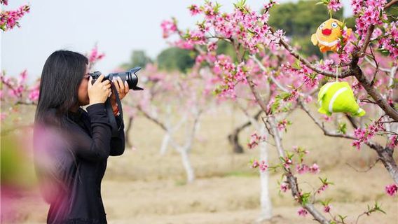 Phoenix Mountain Scenic Area