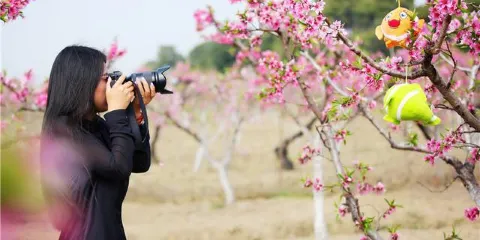 張家港鳳凰山景區