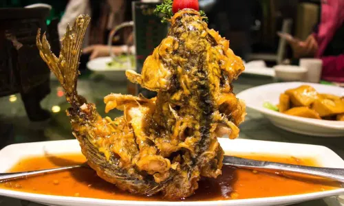 YANFUSIFANGCAI LUCAI CHINESE FOOD