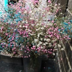 GRANDMA'S DELICACIES User Photo