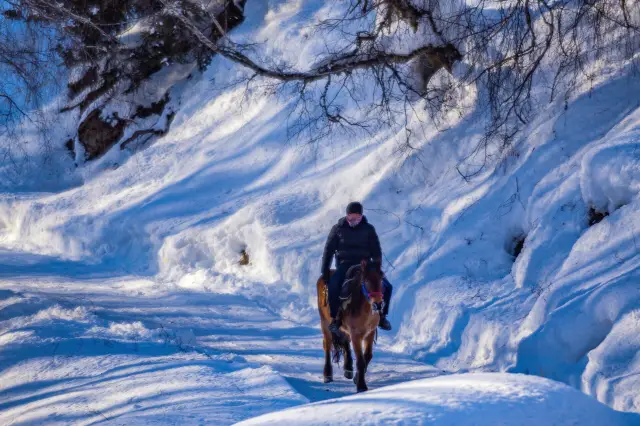 Horse Riding in Burqin
