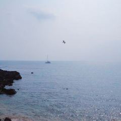 해녀의집 User Photo