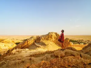 Chebika Oasis