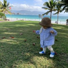 Dinning Room User Photo