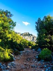 Butterfly Valley