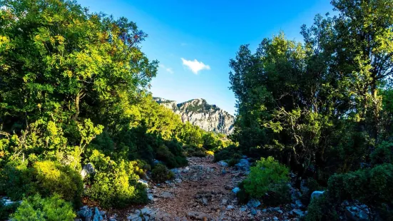 Butterfly Valley