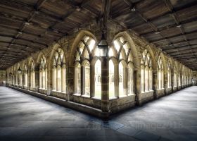 Voli Trapani Durham diretti