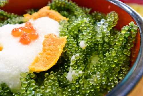 Ganso sea grapes