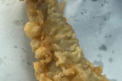 Nakamoto Sengyo Tempura