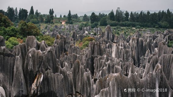 中国雲南省昆明の石林ワンデーツアー【送迎専車付き(入場チケット・食事なし)】