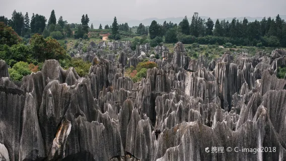 Tour di un giorno nell'area panoramica di Shilin a Kunming, Yunnan, Cina [Trasferimento privato porta a porta (esclusi biglietto d'ingresso e pasti)]
