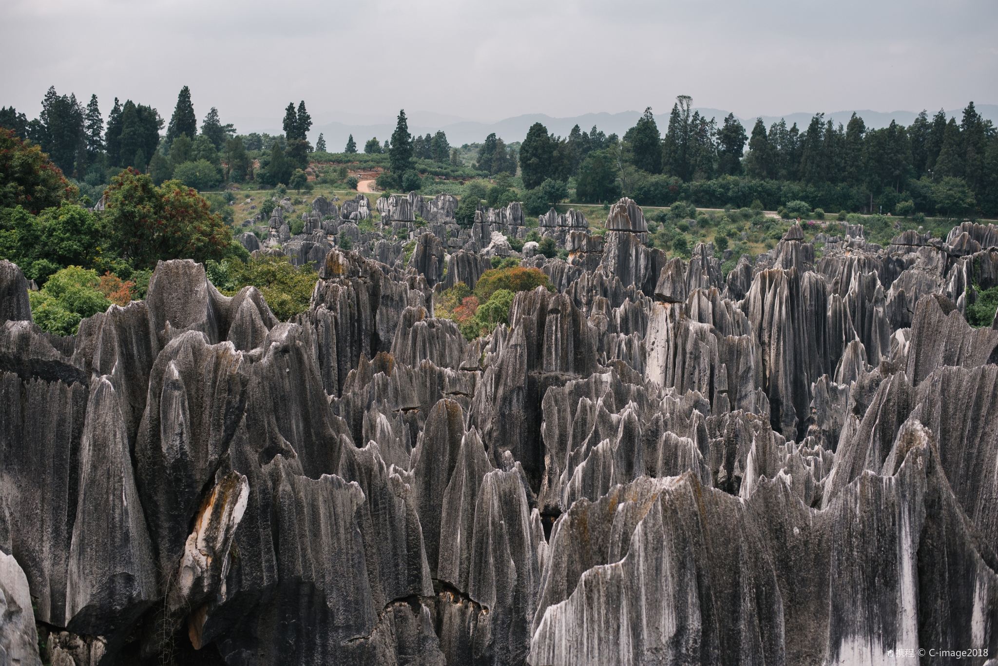 Private Tour to Stone Forest Scenic Area in Kunming, Yunnan, China with Hotel Transfer [Full Travel Services Consultation]
