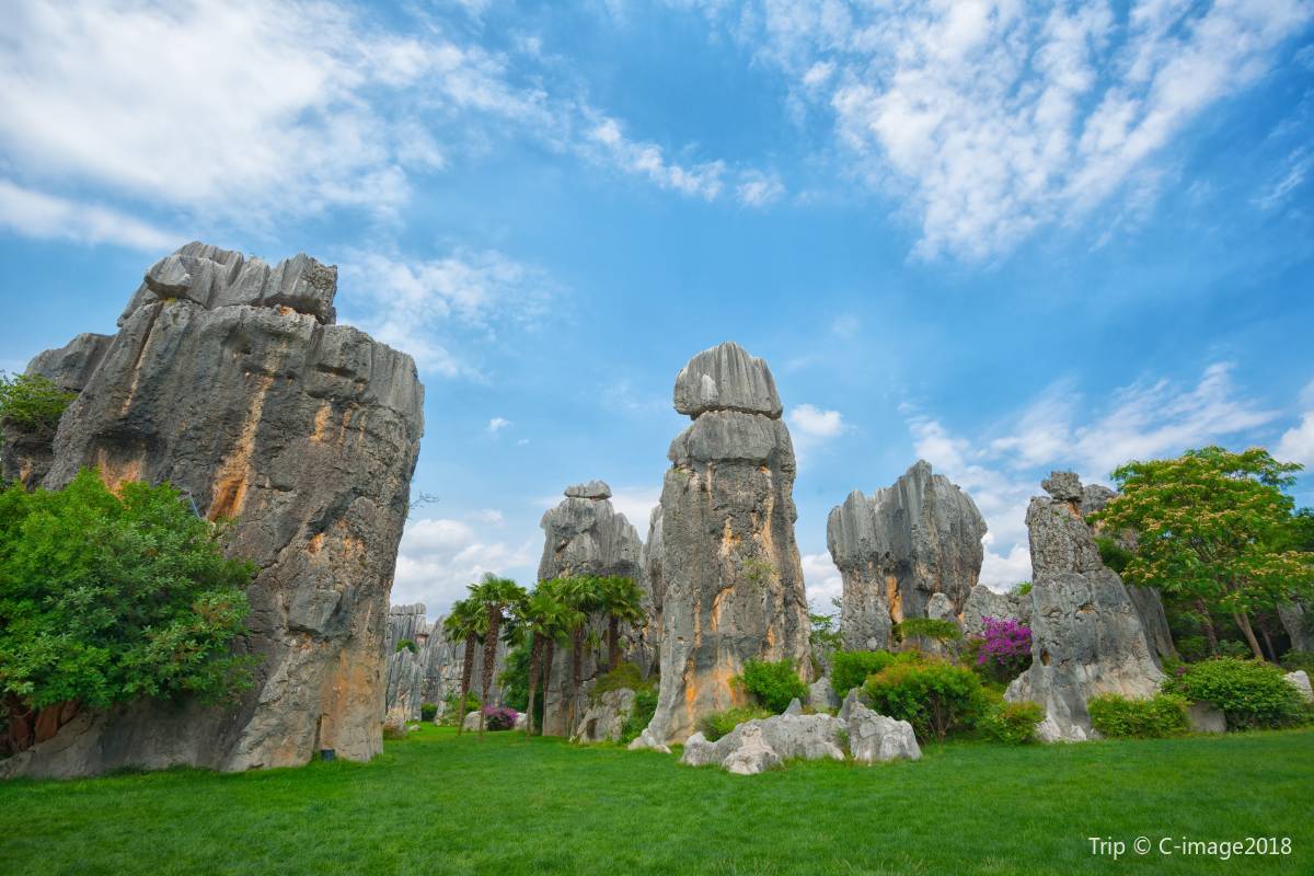 Stone Forest (Shilin)