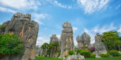 昆明石林私家團1日遊:含專車上門接送、門票、景區英文導遊