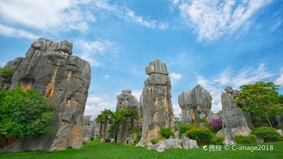 Kunming Stone Forest Scenic Area one-day tour