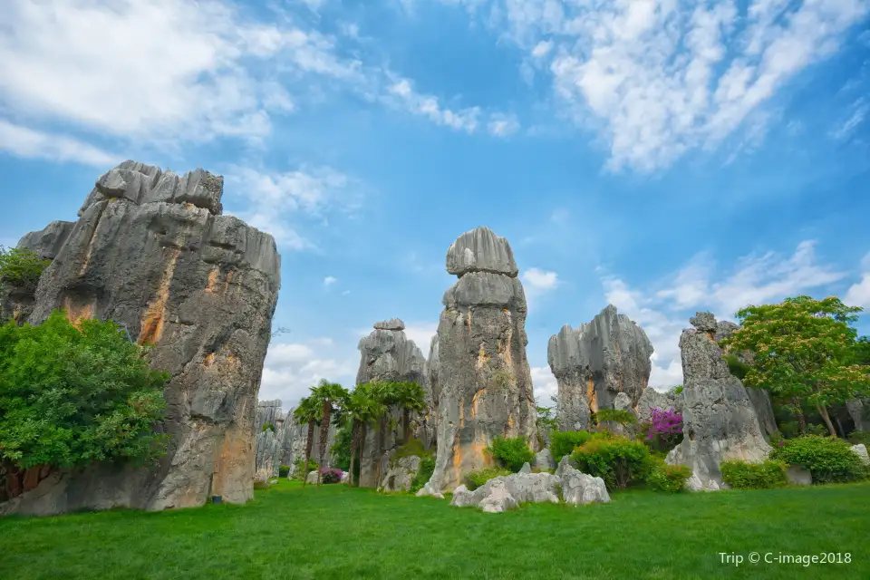 4_Stone Forest Scenic Area