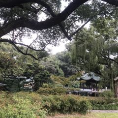 西天目林海农庄 ảnh của người dùng