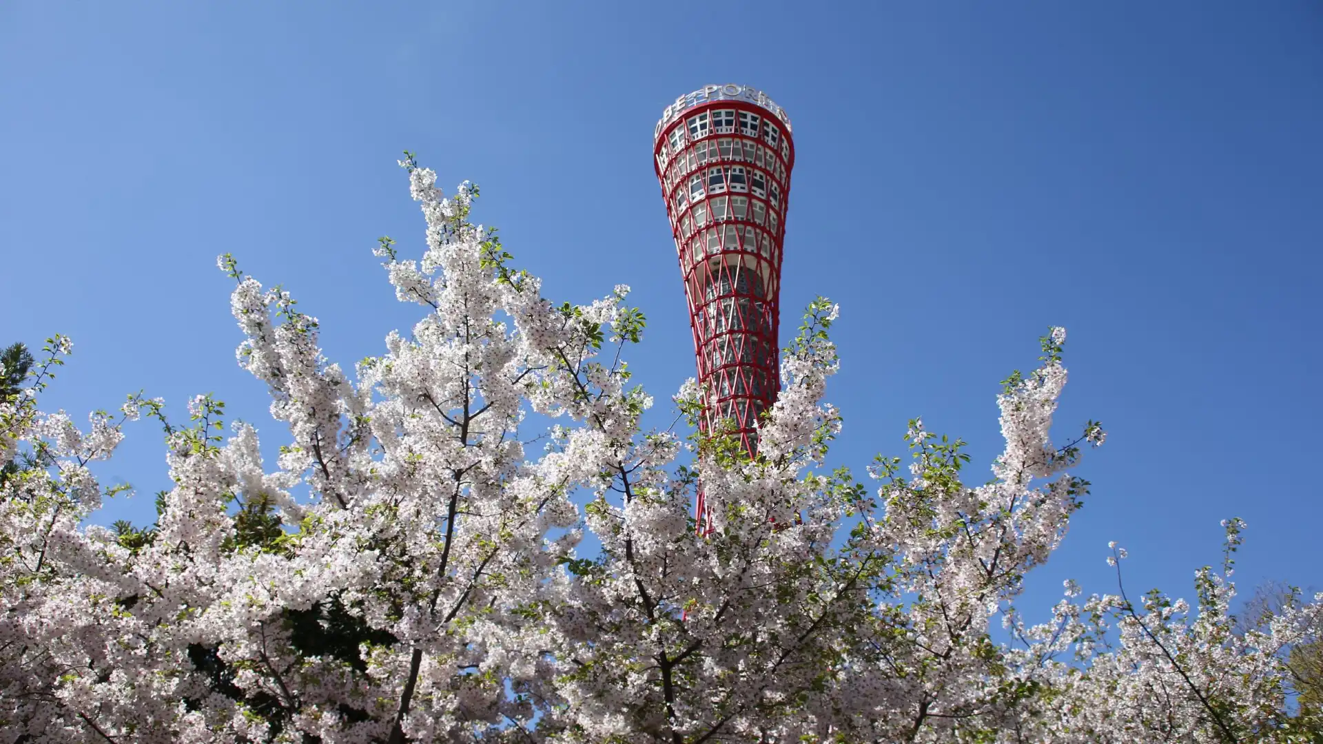 Hotels near Kobe Port Tower