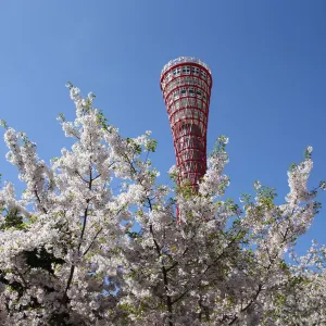 神戶港塔