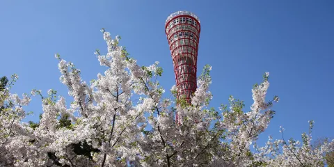 神戶港塔