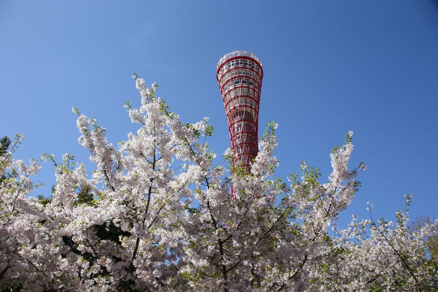 神户港塔