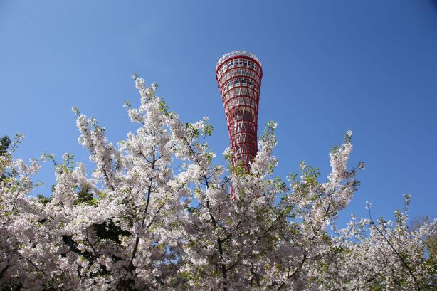 Kobe Port Tower