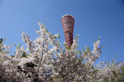 Kobe Port Tower