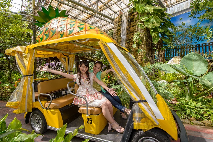 Okinawa Nago Pineapple Park Admission E-Ticket