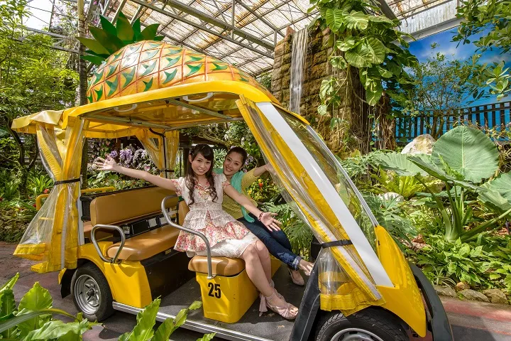 4_Nago Pineapple Park