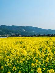 安義県