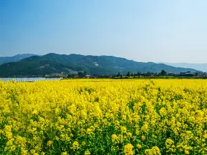 安義県