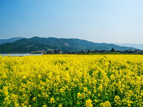 安義古村羣景區