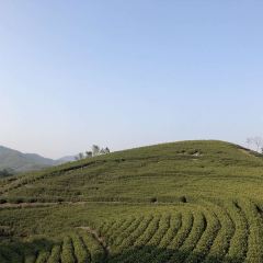 西塞山前白鹭湾餐厅 User Photo