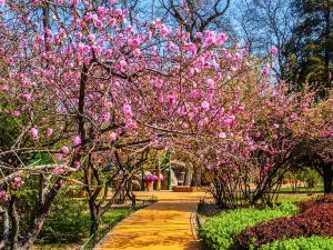 Yingze Park
