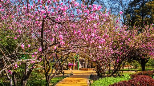 迎澤公園