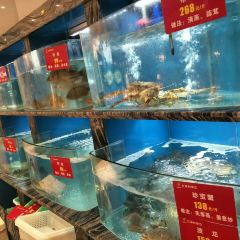 7號廚房張用戶圖片