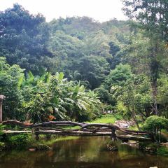 Thranthong Lodge Restaruant User Photo