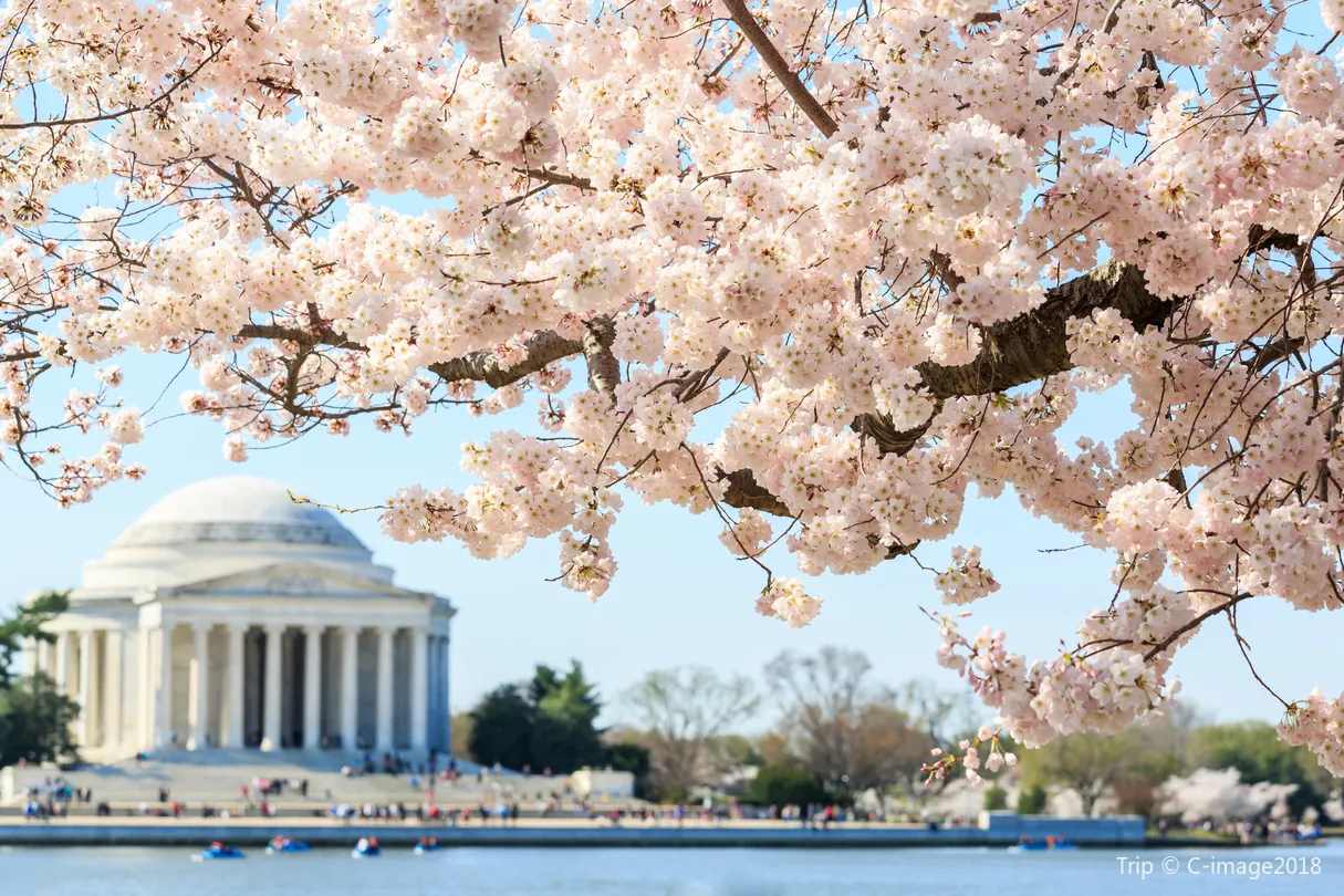 5_Thomas Jefferson Memorial