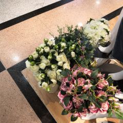 Seta ảnh của người dùng