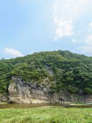 蔚山大穀裡盤龜台岩刻畫