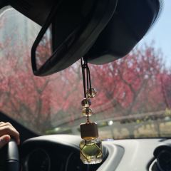 Shuiyijianianhuajiudian·zhongcanbu User Photo