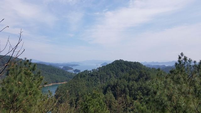 메이펑다오