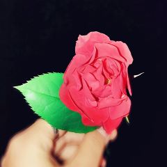 IS YOU BAKERY 伊之友烘焙(三桥店) User Photo
