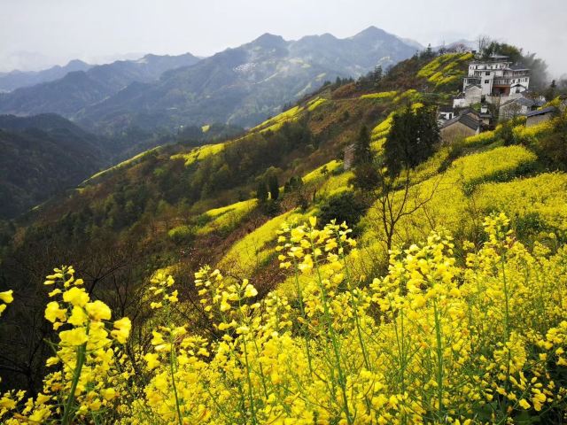 스탄촌