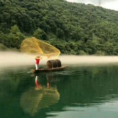 喜洋洋農莊張用戶圖片