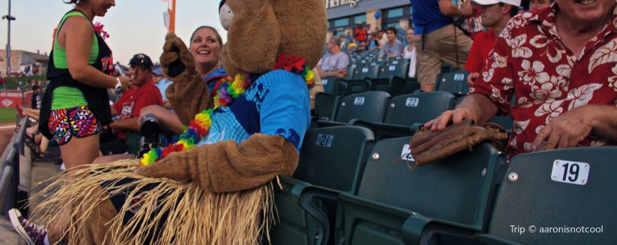 Dell Diamond