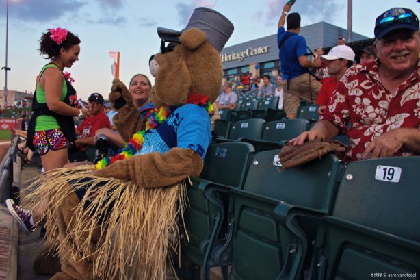 Dell Diamond