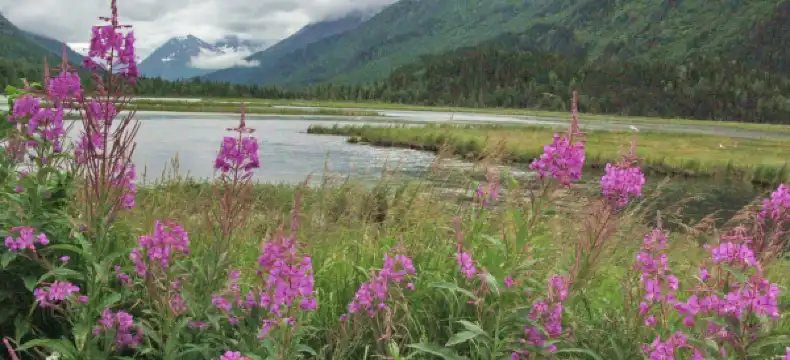 Hotels in Moose Pass