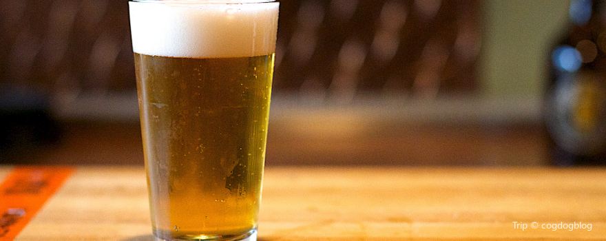 Wallenpaupack Brewing Company